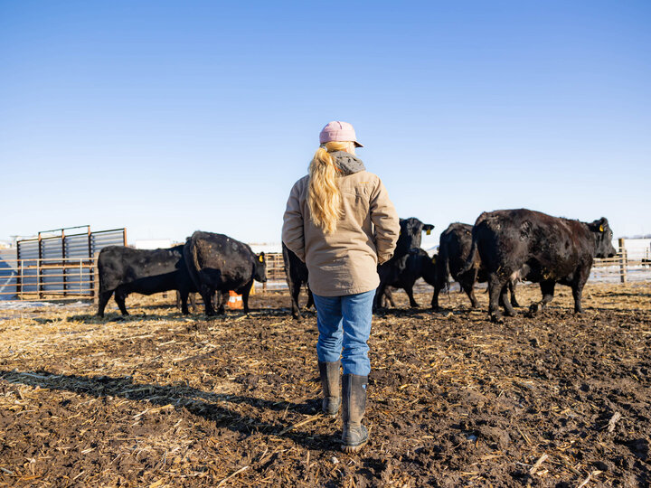 Rancher standing in livestock corral with cattle in front of her.