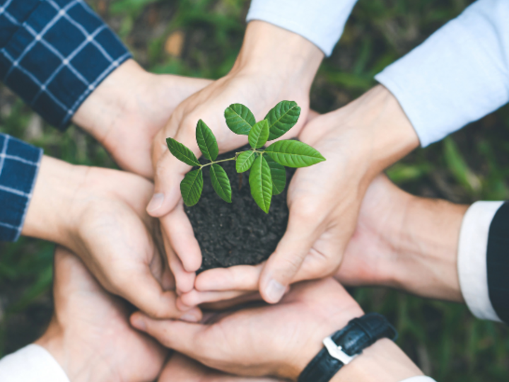 Hands holding a small plant with soil, symbolizing growth and teamwork.