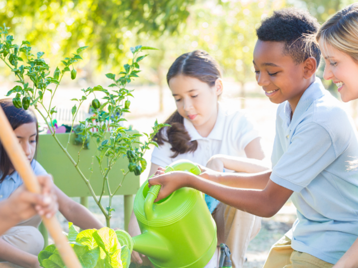 Children gardening together, watering plants and smiling in a sunny outdoor setting.